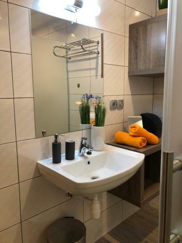 Koro?ec Apartments And Wellness Centre