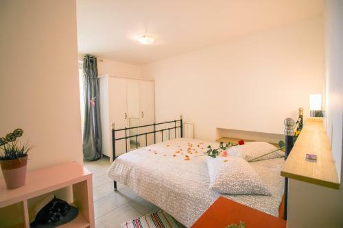 Apartments Apartim