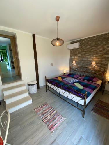 Apartments Apartim