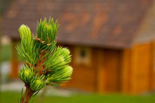 Partsilombi Holiday Home