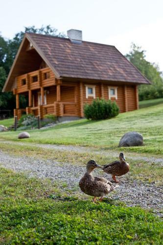 Partsilombi Holiday Home