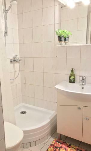 Central Apartment