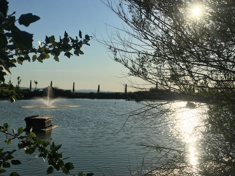 Apartamento Tenuta La Rimessa