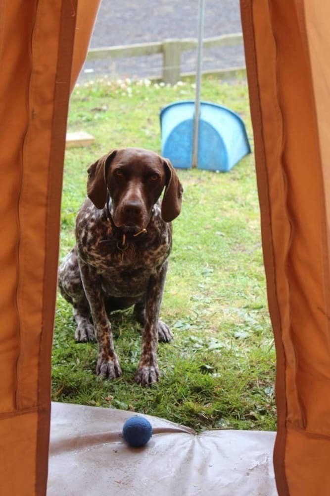 Cabana Hoot @ Woody's Luxury Glamping