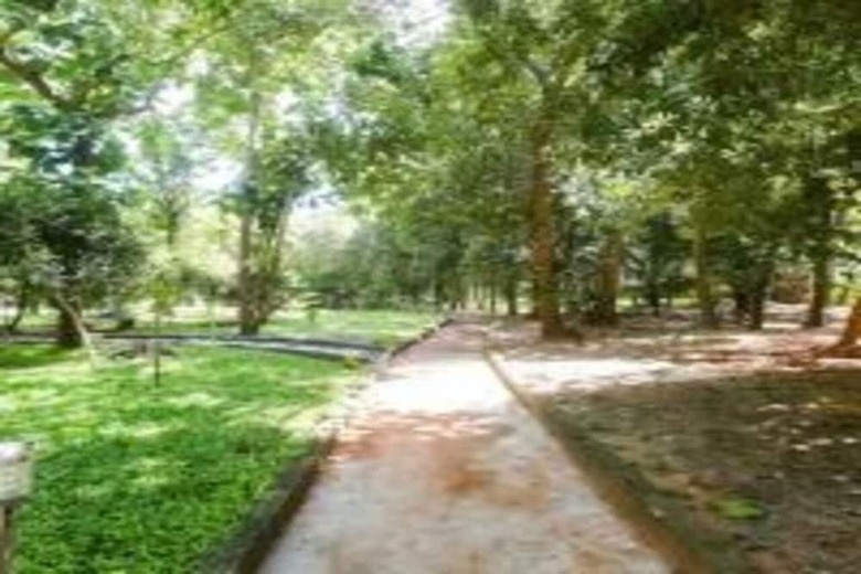 Hotel Nature Breeze Resort And Spa