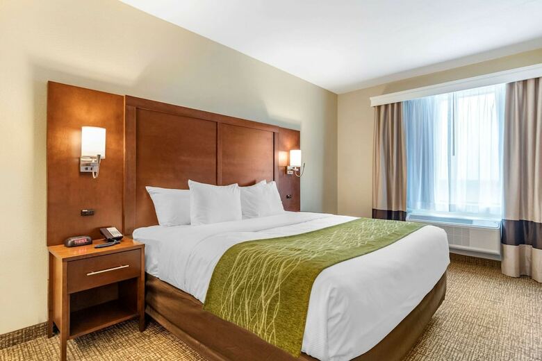 Hotel Comfort Suites San Antonio Ft. Sam Houston/sammc Area