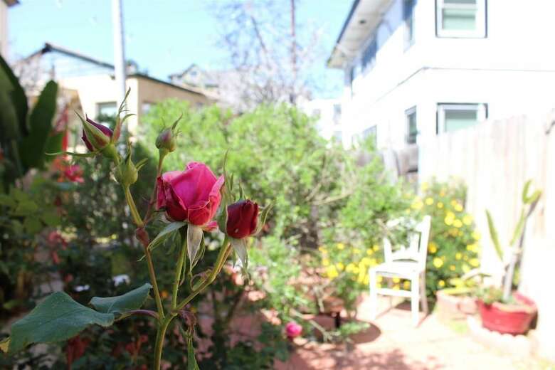 Orange Tree Cottages Downtown