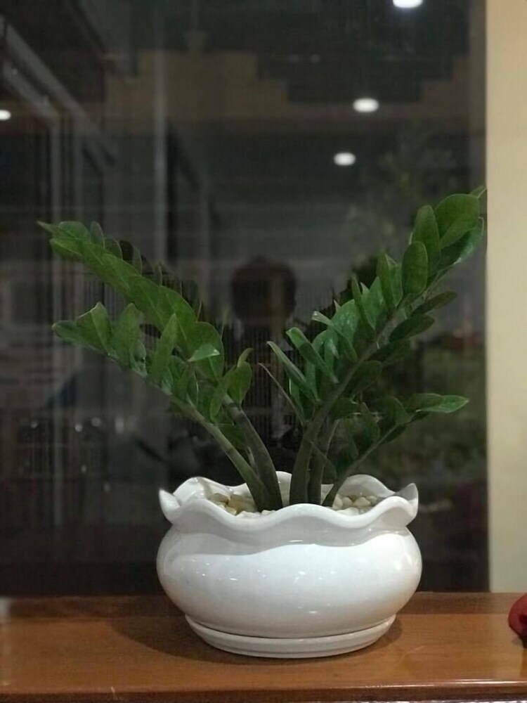 Thada Apartment