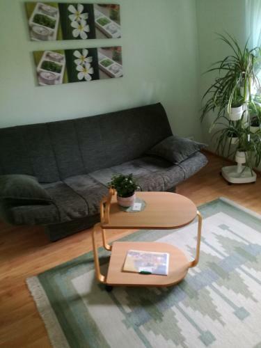 Hostal Netti