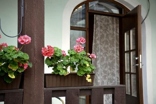 Apartamento Kolme Venna Villa