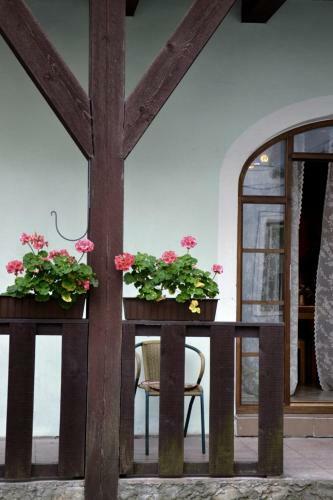 Apartamento Kolme Venna Villa
