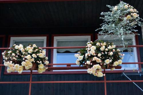 Hostal Nooruse Majutus