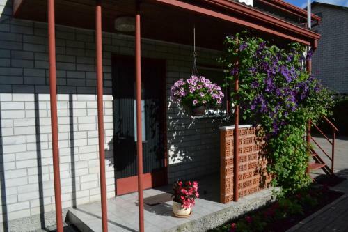 Hostal Nooruse Majutus