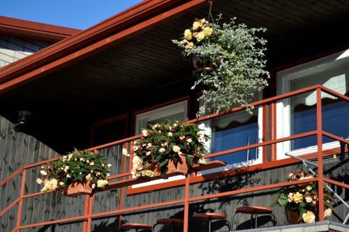 Hostal Nooruse Majutus