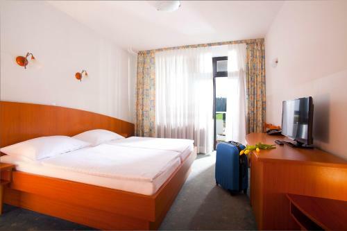 Terme Topolsica - Hotel Vesna
