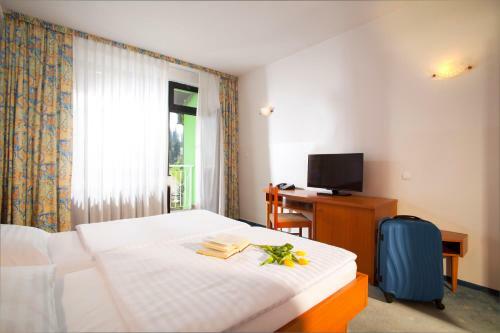 Terme Topolsica - Hotel Vesna