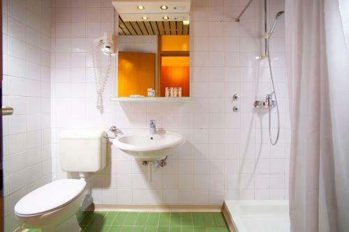 Terme Topolsica - Hotel Vesna