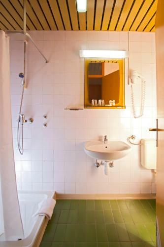 Terme Topolsica - Hotel Vesna