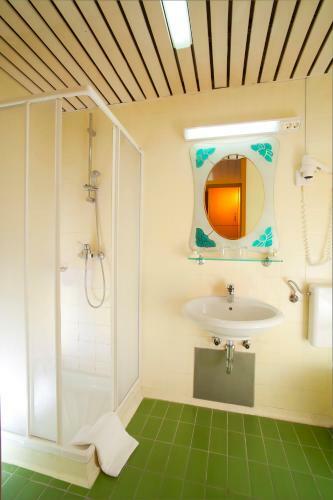 Terme Topolsica - Hotel Vesna