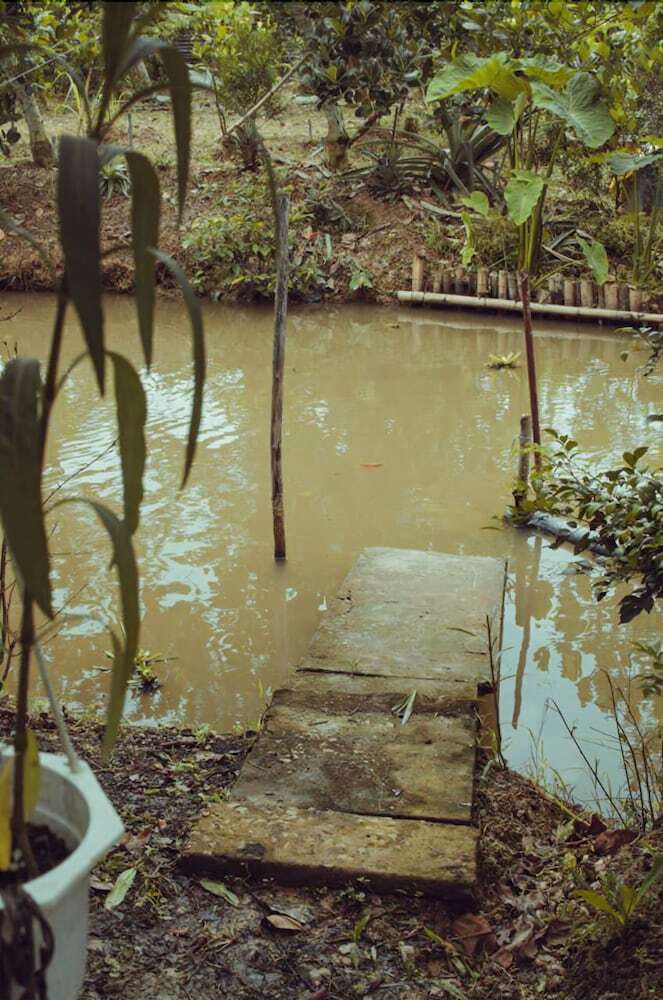 Hostal Thu Huynh Homestay - Hostel