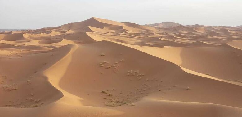 Sahara Desert Camp