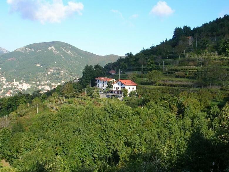 Agroturismo Agriturismo Il Castagno