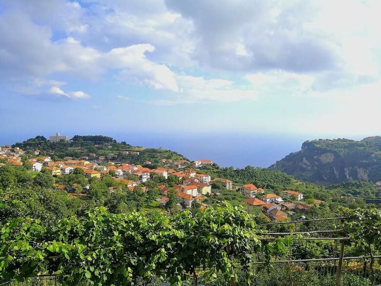 Agroturismo Agriturismo Il Castagno