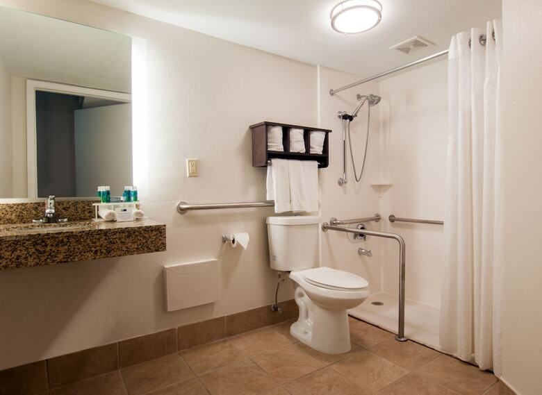 Holiday Inn Express Hotel & Suites Spence Lane