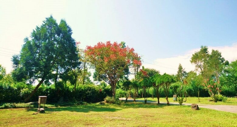 Bed & Breakfast Green Forest Homestay