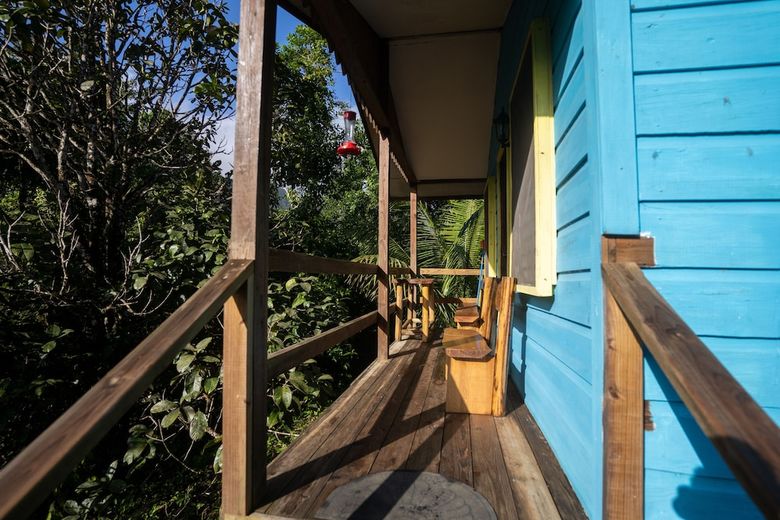 Posada T.r.e.e.s Research Center And Eco Lodge
