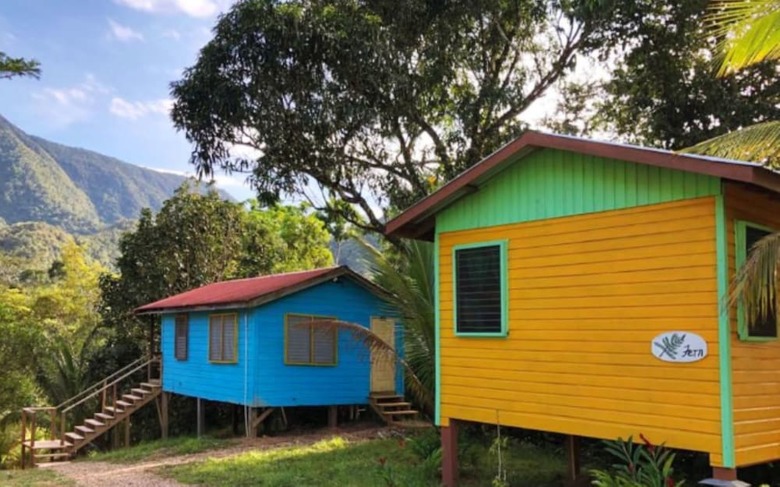 Posada T.r.e.e.s Research Center And Eco Lodge