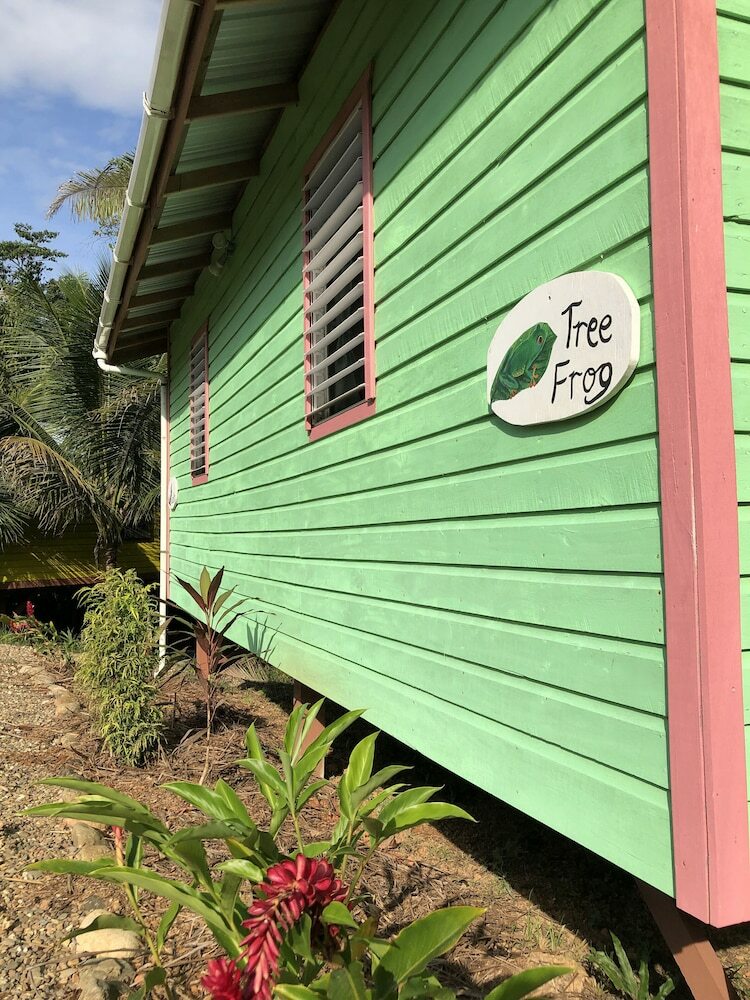 Posada T.r.e.e.s Research Center And Eco Lodge