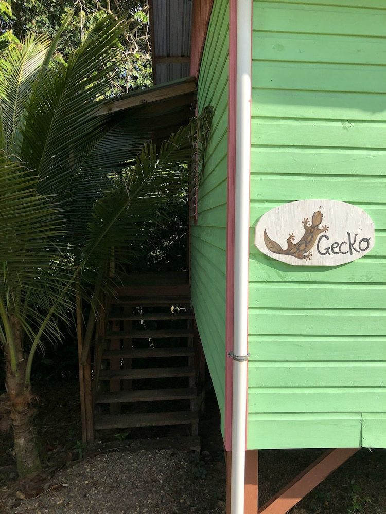Posada T.r.e.e.s Research Center And Eco Lodge