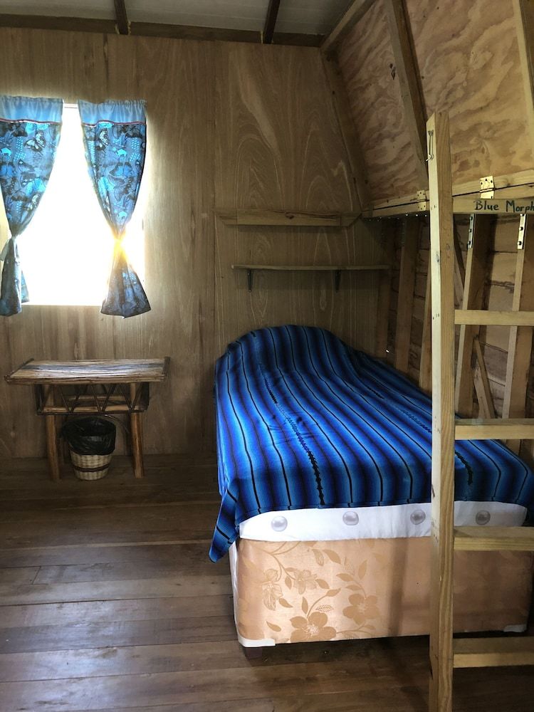 Posada T.r.e.e.s Research Center And Eco Lodge