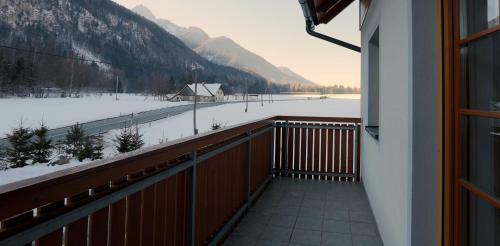 Apartment Brina