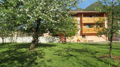 Apartments Masera