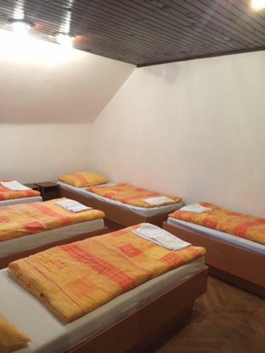Youth Hostel Nika