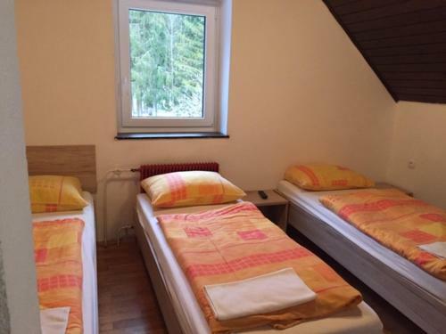 Youth Hostel Nika