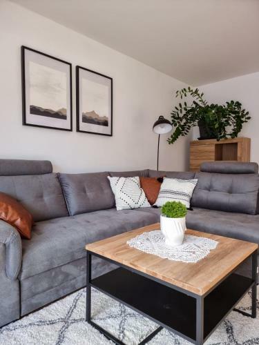 Apartment Plazar