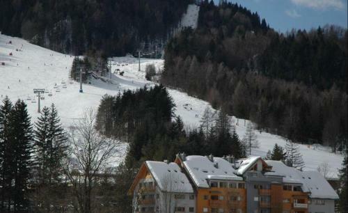 Apartment Lesnina