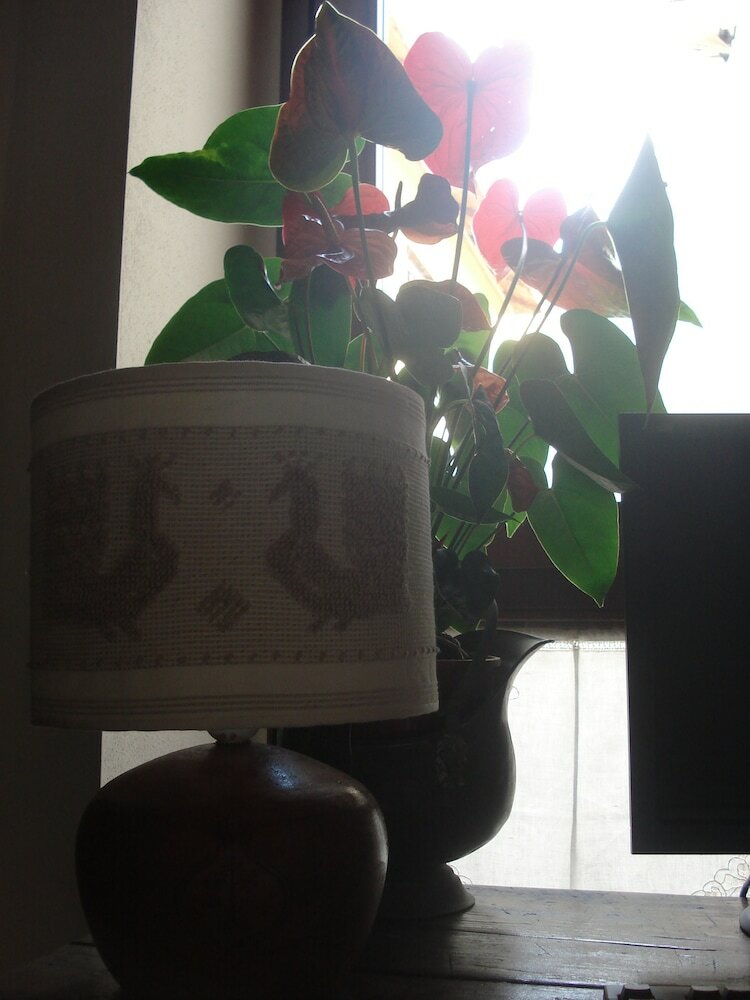 Il Giardino Segreto