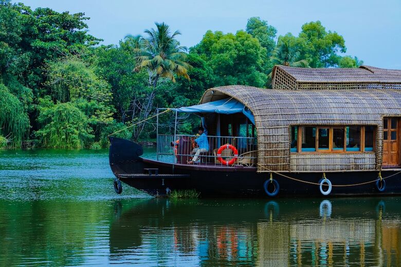 Tree Of Life Gemini Houseboat
