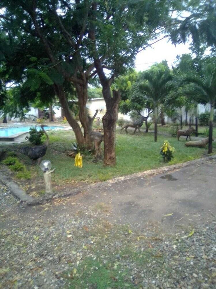 Apartamentos Micmoll Paradise
