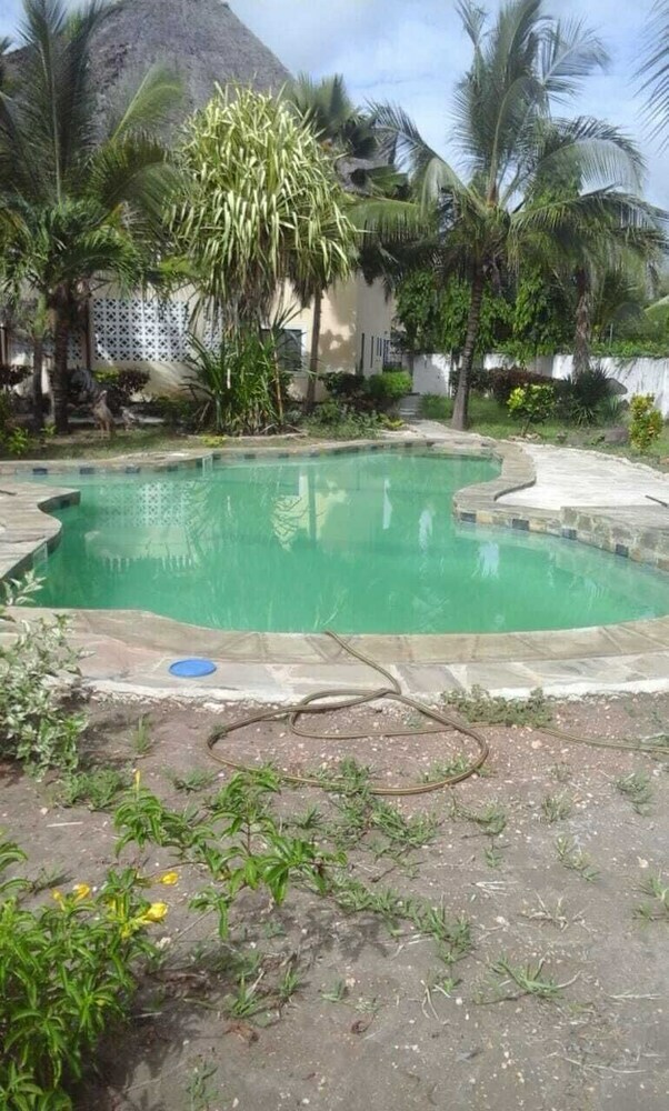 Apartamentos Micmoll Paradise