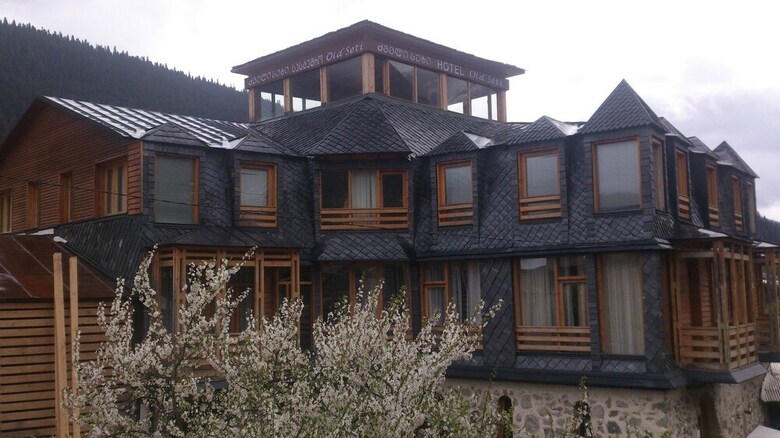 Hotel Old Seti
