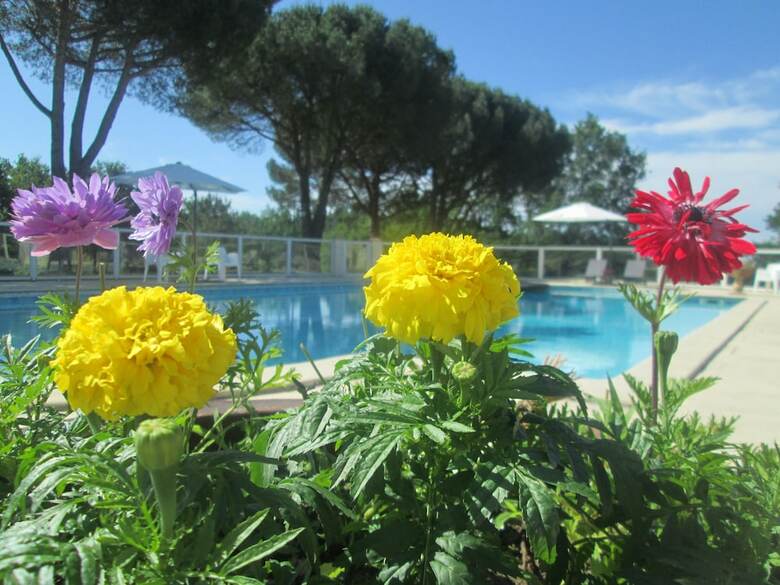 Hotel Domaine Des Cantiques
