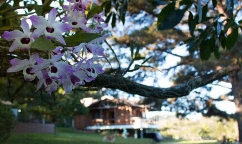 Linda Casa de Campo