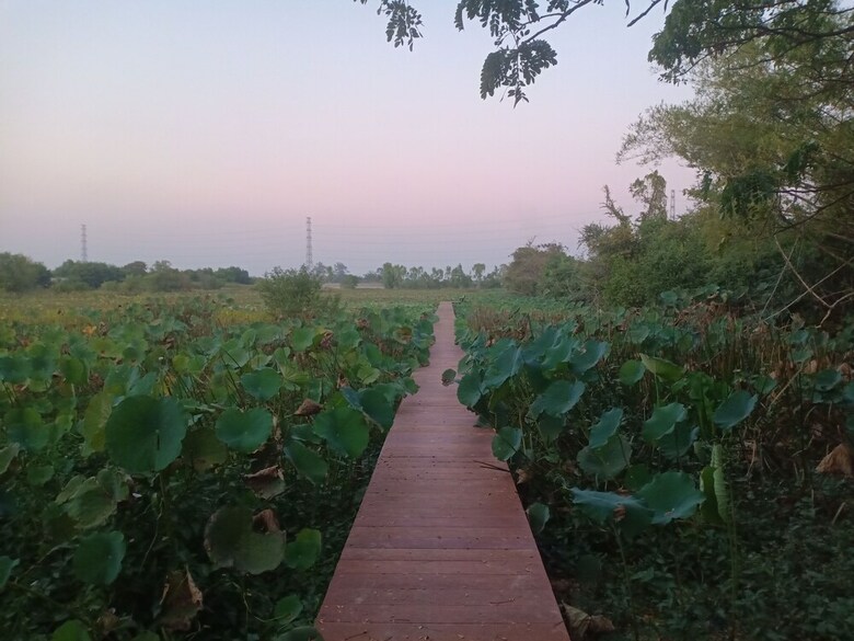 Hotel Baanbua Nonlen