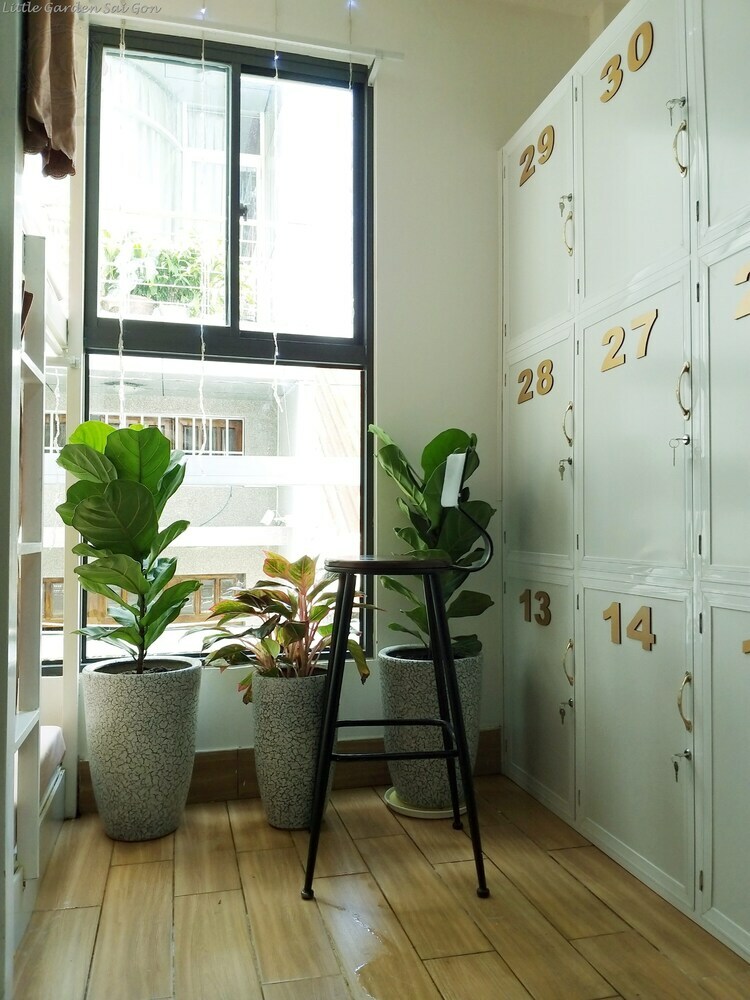 Hostal Little Garden Hostel