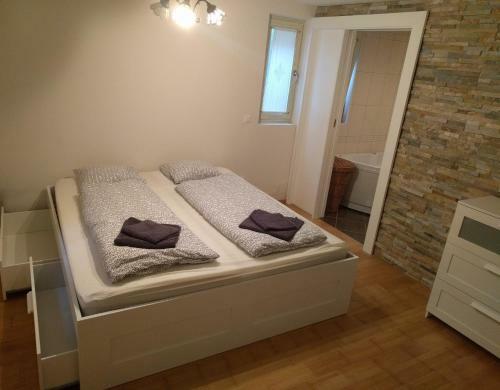 Apartment Mojstrovka